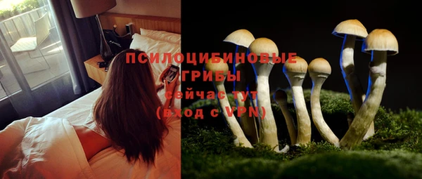 кристаллы Иннополис