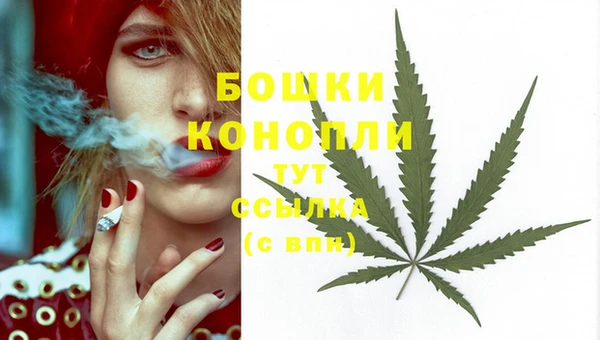 амф Инсар
