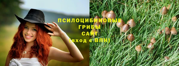 эйфоретик Инта