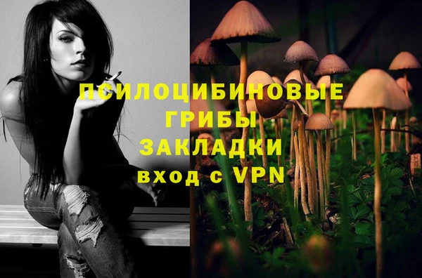 амф Инсар