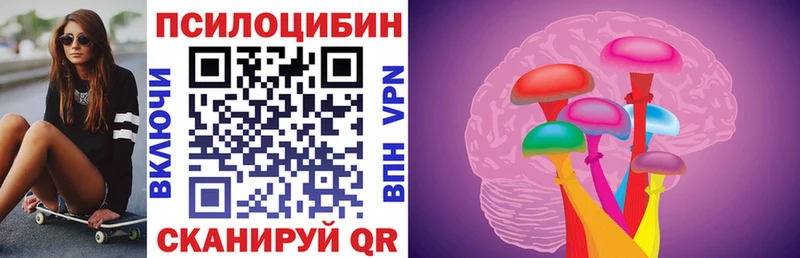 Псилоцибиновые грибы Psilocybine cubensis  закладки  Ковров 